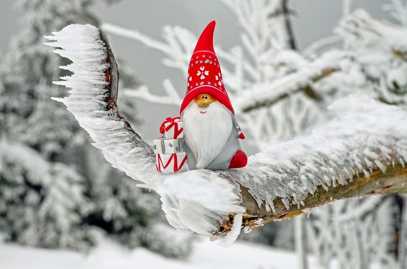 Gnomes