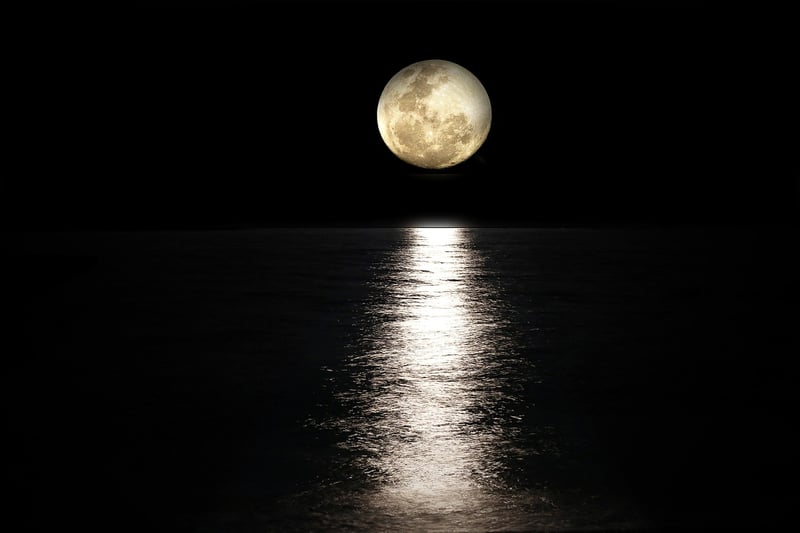Moonlight Rituals